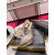 Christian Louboutin Degraqueen Alta Embellished Platform Mules 130mm Pvc Light Peach
