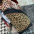 Christian Louboutin Explorafunk Backpack Calf Leather and Spikes Leopard
