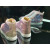 Christian Louboutin Louis Strass Flat High-top Sneakers Rhinestone Embellishments Pink